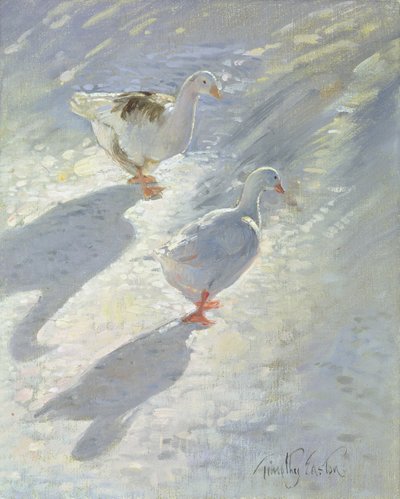 Against the Slope by Timothy Easton